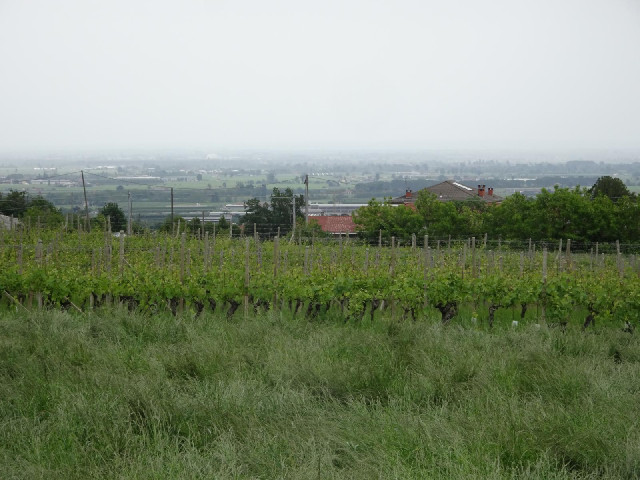 ... and away from them.