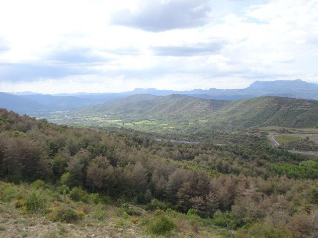The view.