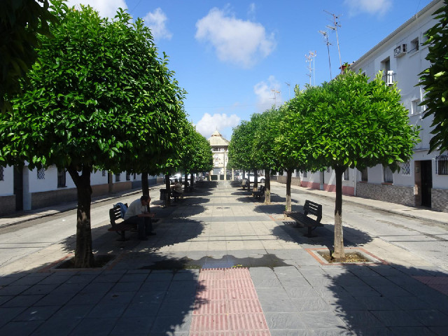 The first of my three roads in Andújar.