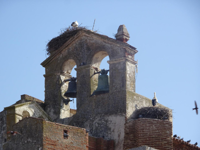 I hadn't expected to see storks in Portugal. I associate them with Eastern Europe and I don't rememb...