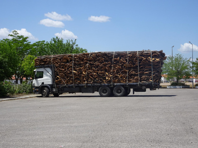 A lorry load of tree bark. Probably to be used for making cork.