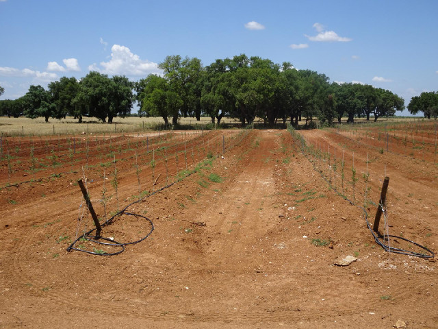 ... and very young ones on the other.