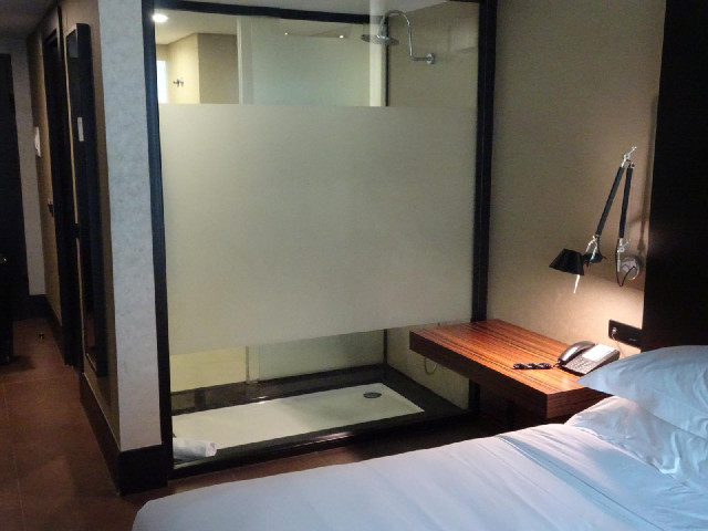 It's a bit odd that you can see part of the shower from the bedroom.