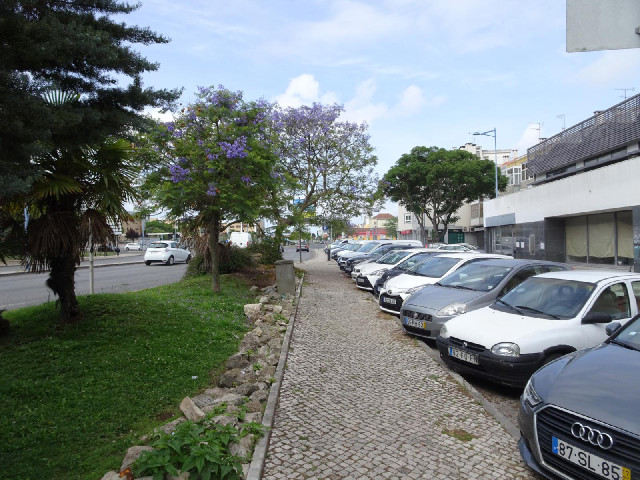 I just so happens that for the third week in a row, I'm touring a major city on a Sunday. That means...