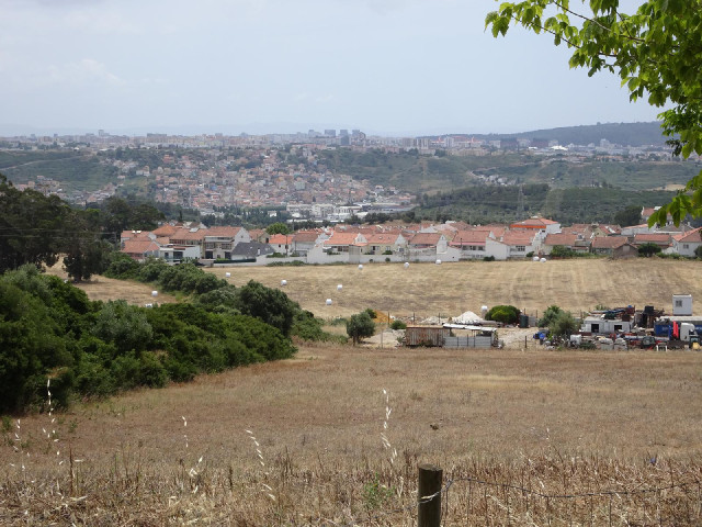 Bales of hay. But it's only May. What will the field do for the rest of the year?