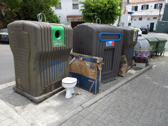 There isn't a bin for toilets.