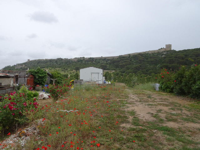 Another view of the fortifications.
