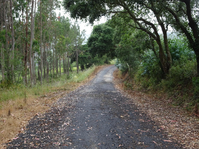 I think I've deviated from the proper road but this will do.