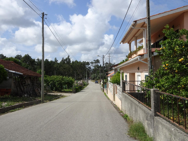 11th of December Road, close to the Monte Real Air Base.