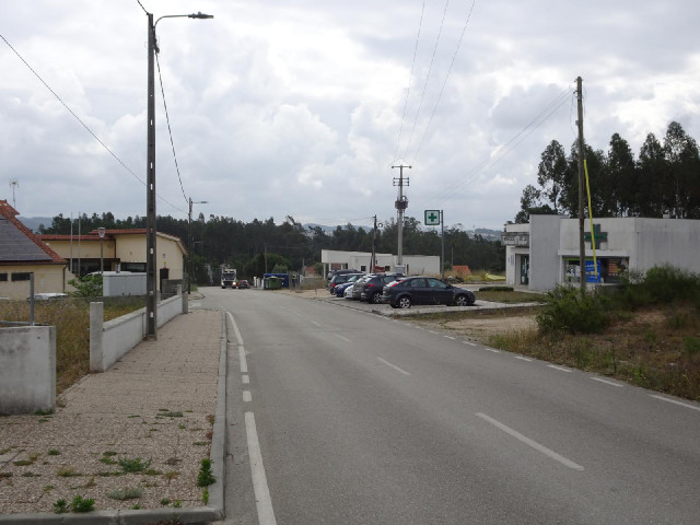 After a drive beset with obstacles, including a cat which sprinted across the road in front of my ca...