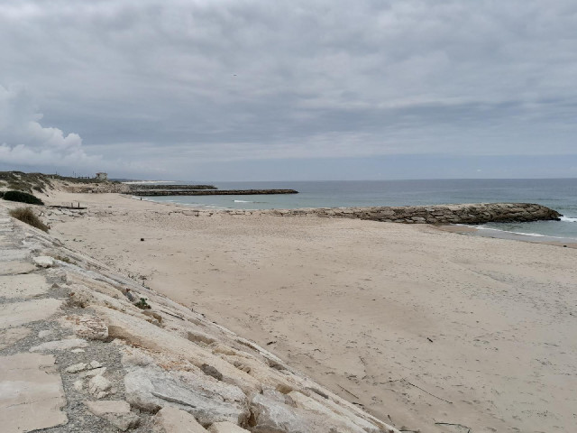 The beach is comparmentalised by groynes.