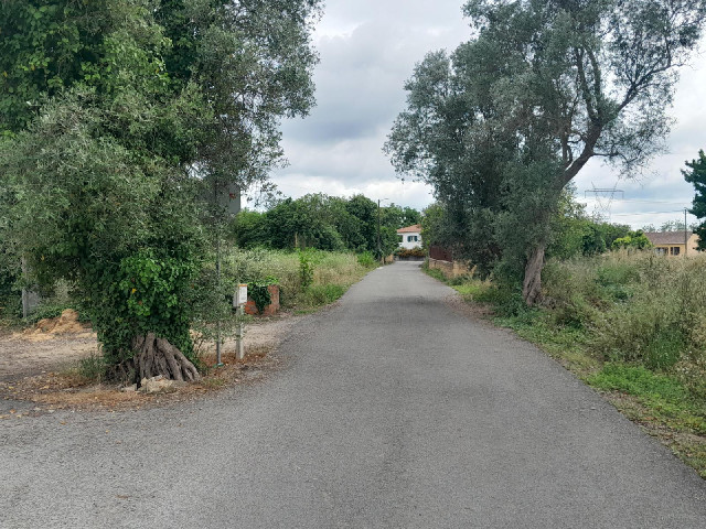 The start of 25th of July Road.