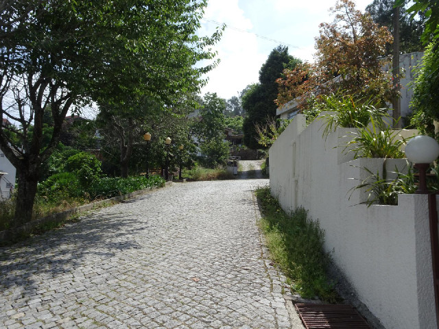 12th of January Road.