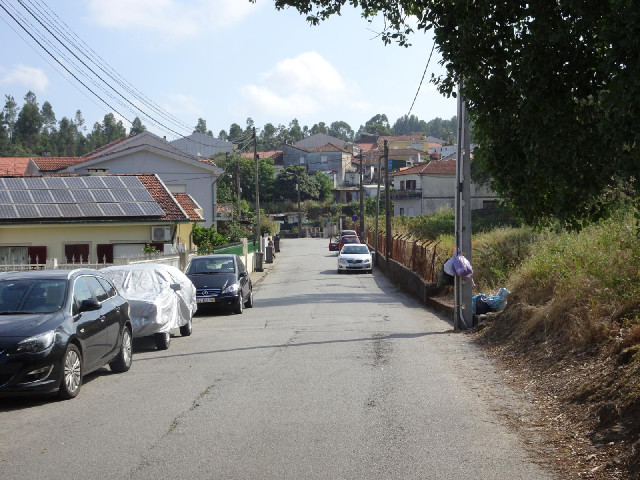 I have now realised that there was no real need for me to have come here. The 31st of January is a c...