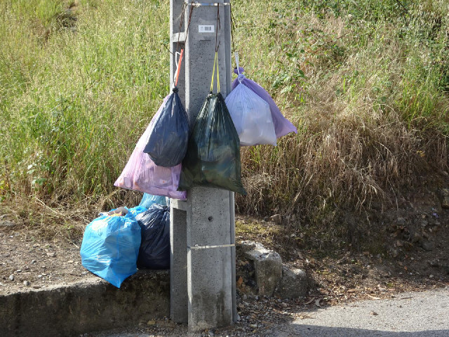 Is that how they put rubbish out for collection?