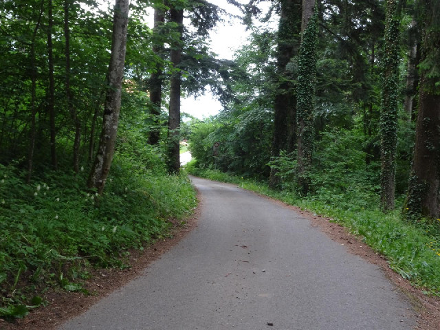 Well the route which the sat-nav has chosen is pretty but I don't believe it's the proper road to Le...