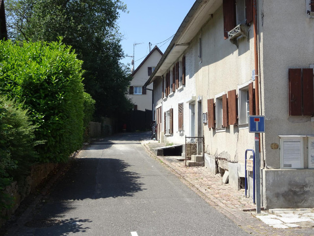 The average day of the year has about 100 roads named after it in Europe so you might expect the 29t...