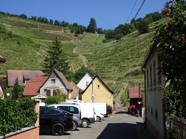 This is the Alsace wine region.