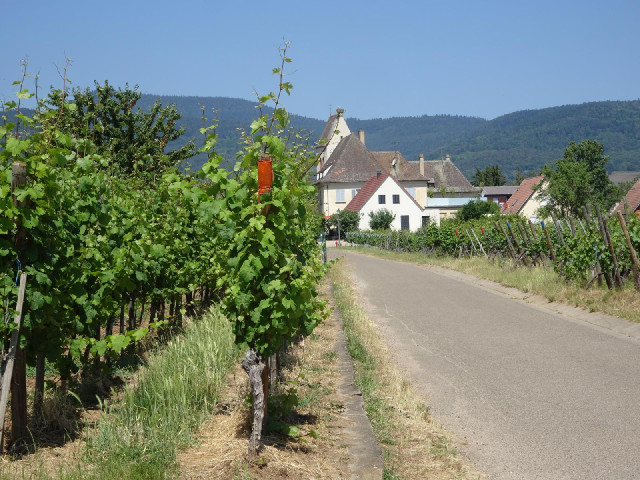 My next four roads are all in separate villages but they are very close together and none of them ha...