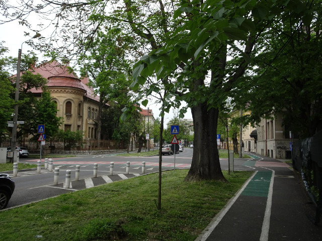 I think there are more marked bike lanes now than when I was last here.