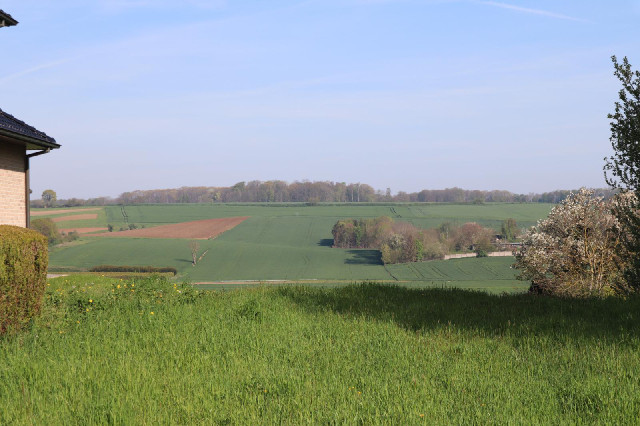 Stopping gives me a change to show you the scenery.