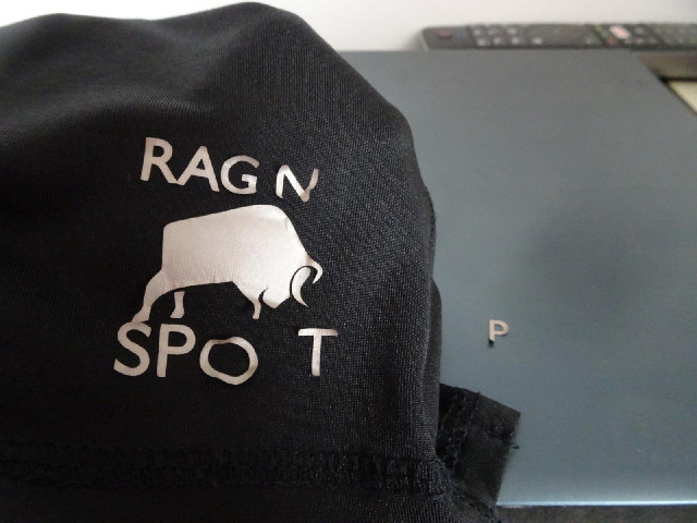 While I was drying my clothes, a P fell onto the bed. My shorts are shedding letters and now look li...