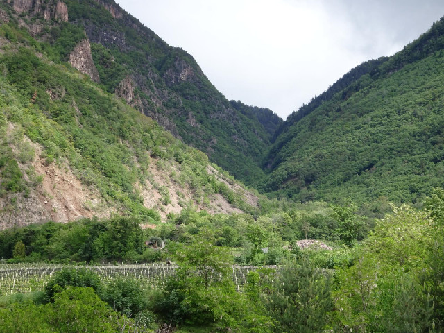 Mountains and vineyards.