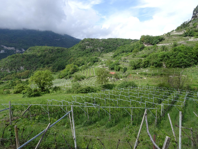 I briefly got a glimpse of Lage Garda a little while ago. It was spectacular but I didn't get a pict...