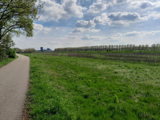 The flood plain of the river Maas, looking towards the city centre.