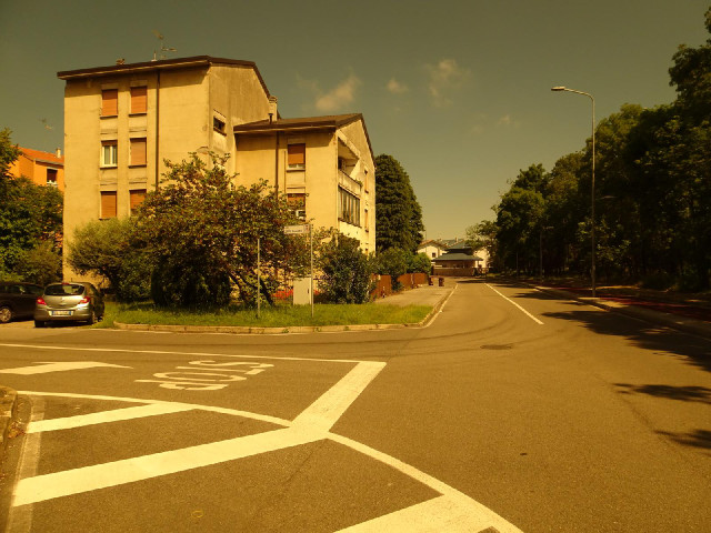 I'm wearing some new brown-tinted sunglasses so this is how I've been seeing things.