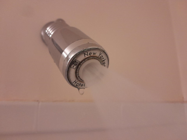 This hotel has its own branded shower heads. The water flow rate from both the shower head and the b...