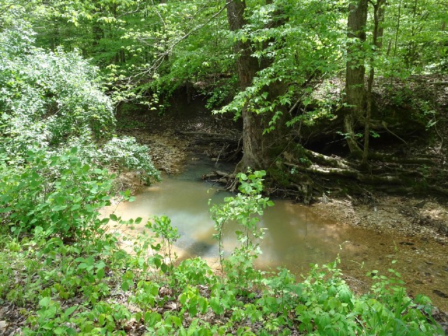 A babbling stream next to the road.