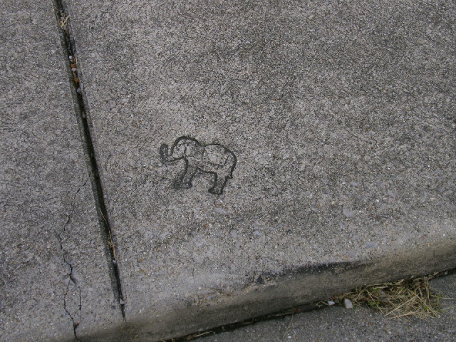 ... whereas the pavement nearby has this elephant.