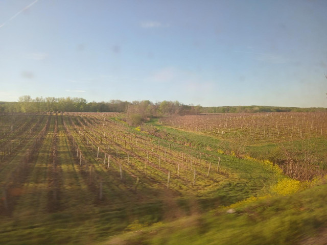 We've just crossed into the Northwest corner of New York state, where it seems that the main crops a...